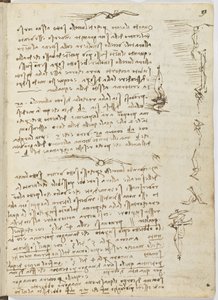 Birds Flight Code, Sheet 9 Recto